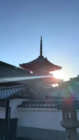 37歳おっさん旅垢のTikTok投稿
