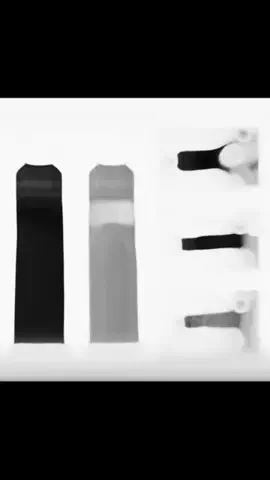 ぱずもんのTikTok投稿