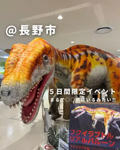 ながのさんぽ | 長野のガイドブックのTikTok投稿