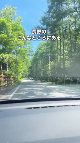 ながのさんぽ | 長野のガイドブックのTikTok投稿
