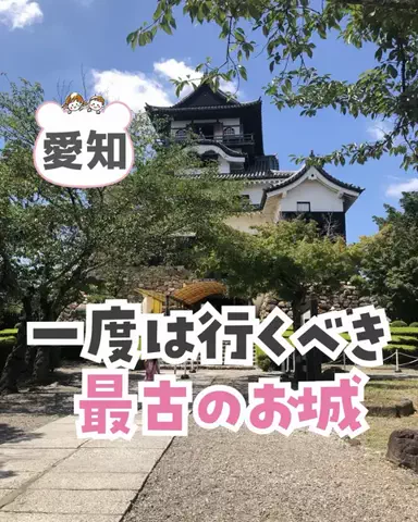 piyo_tripのTikTok投稿