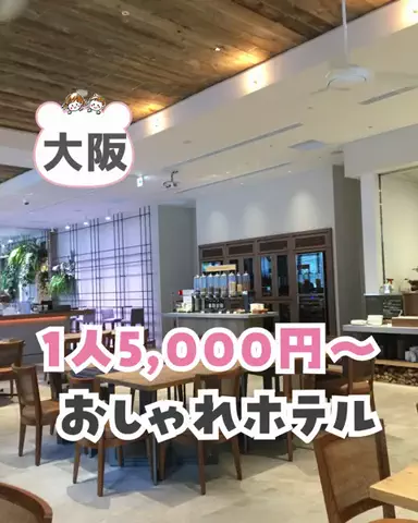 piyo_tripのTikTok投稿