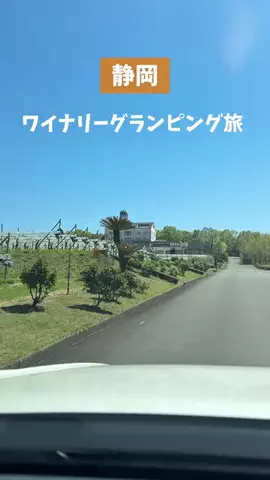 グルメ営業マン(静岡グルメ×静岡観光)のTikTok投稿
