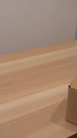 melissa_tayloのTikTok投稿
