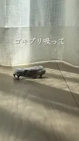 とも 𖧧 暮らしやすいお家づくりのTikTok投稿