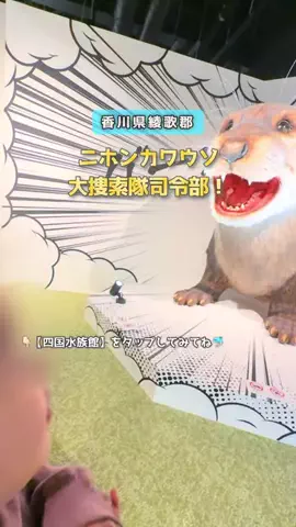 ケロ🐸香川・四国＊子連れおでかけのTikTok投稿