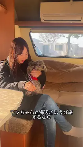モナ王🐶ピノの愛犬旅行のTikTok投稿