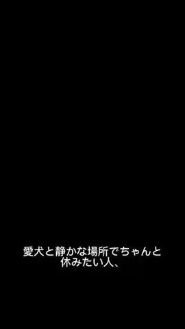 モナ王🐶ピノの愛犬旅行のTikTok投稿