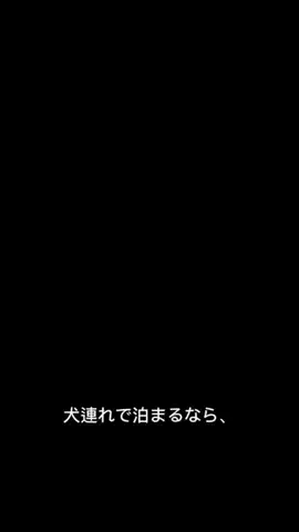 モナ王🐶ピノの愛犬旅行のTikTok投稿