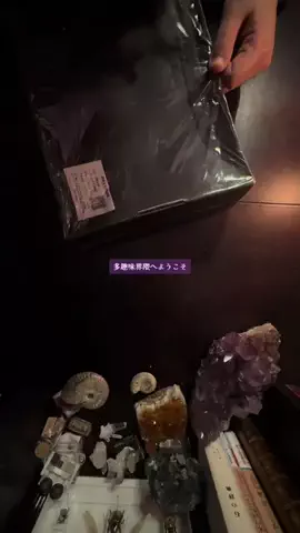 多趣味界隈のTikTok投稿