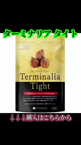 マイスターTETSUのTikTok投稿