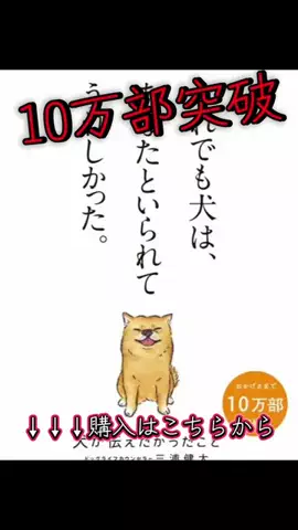 マイスターTETSUのTikTok投稿
