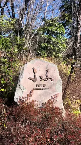 fit_konkatsuのTikTok投稿