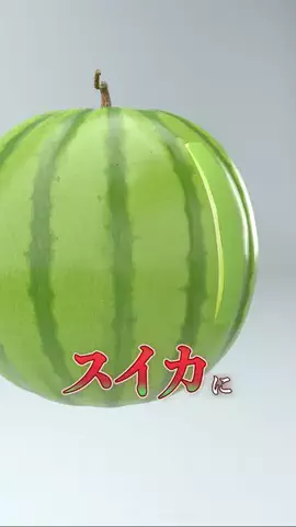 どうもプッカですのTikTok投稿