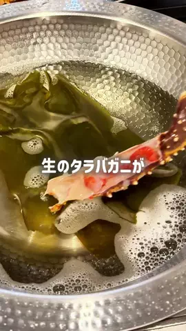 まきのTikTok投稿