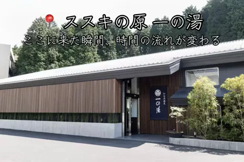 ❤️‍🔥❤️‍🔥🐶🐾のTikTok投稿