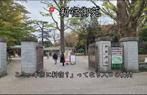 ❤️‍🔥❤️‍🔥🐶🐾のTikTok投稿