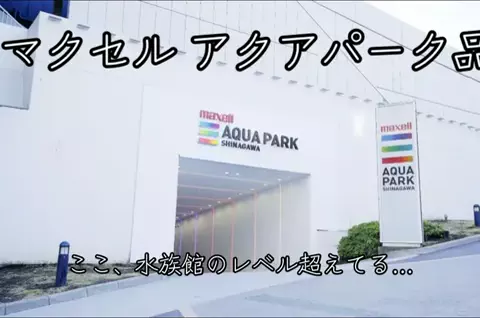 ❤️‍🔥❤️‍🔥🐶🐾のTikTok投稿