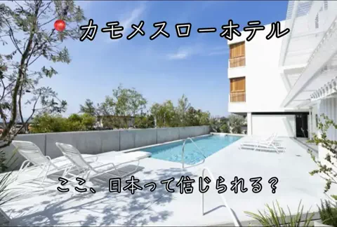 ❤️‍🔥❤️‍🔥🐶🐾のTikTok投稿