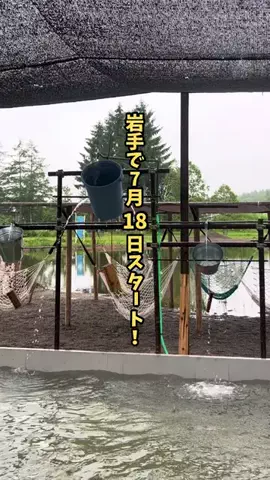 青森情報局 |青森をバズらせる総合メディアのTikTok投稿
