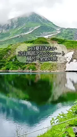 オヤジ飯🐱長野グルメ食べ歩きのTikTok投稿
