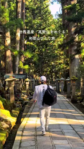 なお@女ひとり旅のTikTok投稿