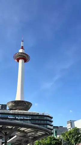 たべとく| 社会人が喜ぶ京都グルメのTikTok投稿