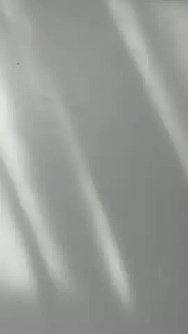 ぶんのTikTok投稿