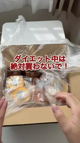 ぶんのTikTok投稿