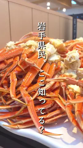 みーこ|岩手発▶︎子連れお出かけ＆旅行のTikTok投稿