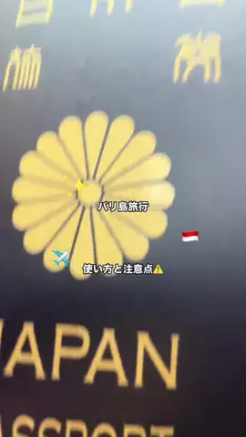 RieのTikTok投稿