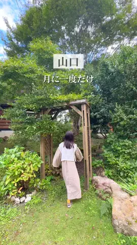 りりーのTikTok投稿