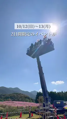 りりーのTikTok投稿