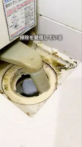 みどり|ママにゆとりが生まれる暮らしのTikTok投稿