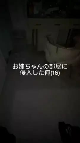 コンソメパンチのTikTok投稿