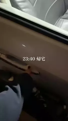 グルメ日記のTikTok投稿