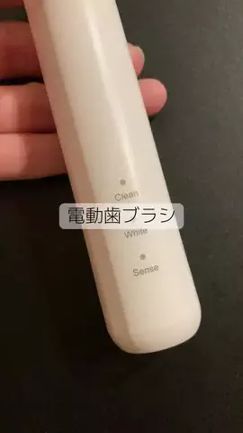 こりんぼすけの休暇のTikTok投稿