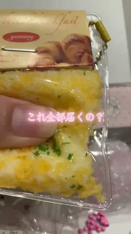 こりんぼすけの休暇のTikTok投稿