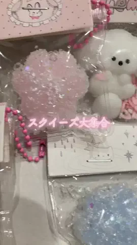 こりんぼすけの休暇のTikTok投稿