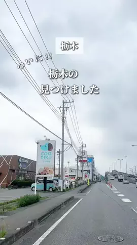 あいペコ￤栃木デート&グルメのTikTok投稿