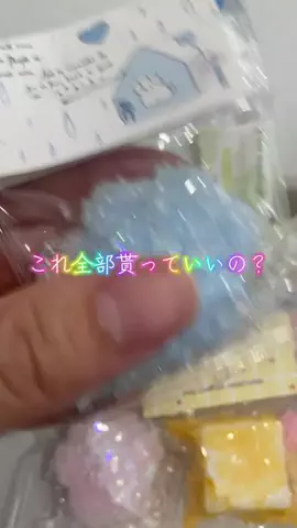 こりんぼすけの休暇のTikTok投稿