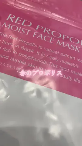 こりんぼすけの休暇のTikTok投稿