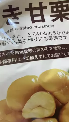 こりんぼすけの休暇のTikTok投稿