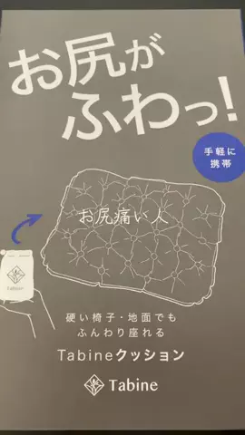 こりんぼすけの休暇のTikTok投稿