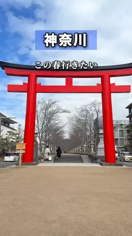 kana_naviのTikTok投稿