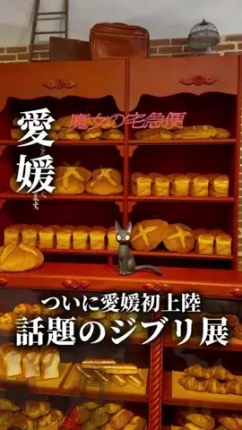 チチトコ⌇愛媛グルメ＆おでかけのTikTok投稿