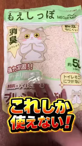 キラリンwithハチワレ猫🐈🐈のTikTok投稿