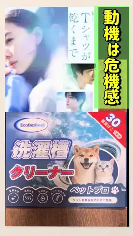 キラリンwithハチワレ猫🐈🐈のTikTok投稿