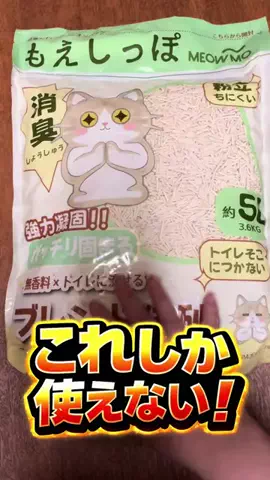キラリンwithハチワレ猫🐈🐈のTikTok投稿