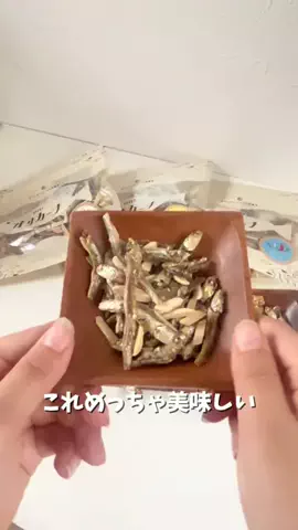 あずきちゃんのTikTok投稿